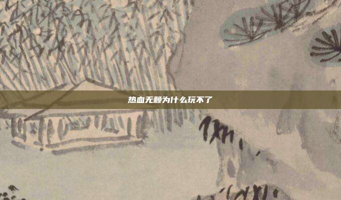 热血无赖为什么玩不了