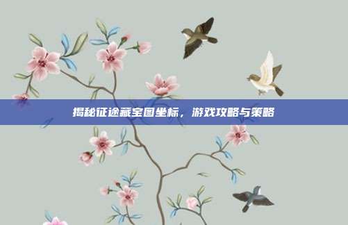 揭秘征途藏宝图坐标，游戏攻略与策略