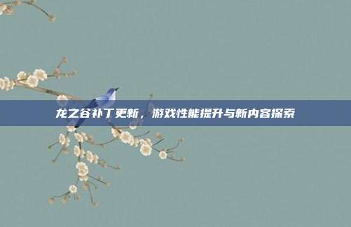龙之谷补丁更新，游戏性能提升与新内容探索