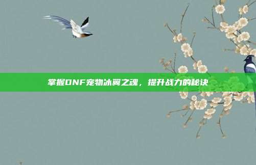 掌握DNF宠物冰翼之魂，提升战力的秘诀