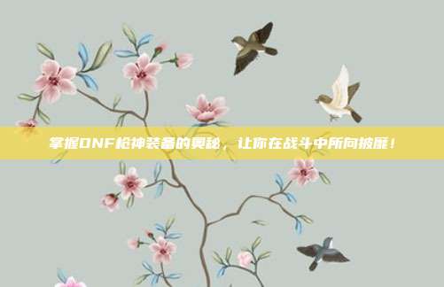 掌握DNF枪神装备的奥秘,让你在战斗中所向披靡!