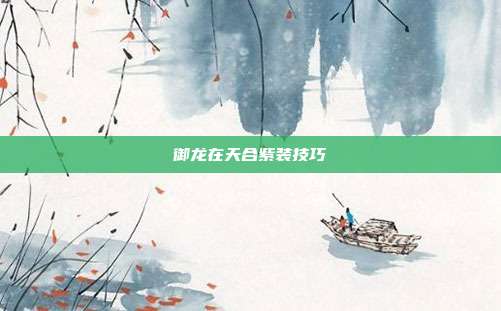 御龙在天合紫装技巧