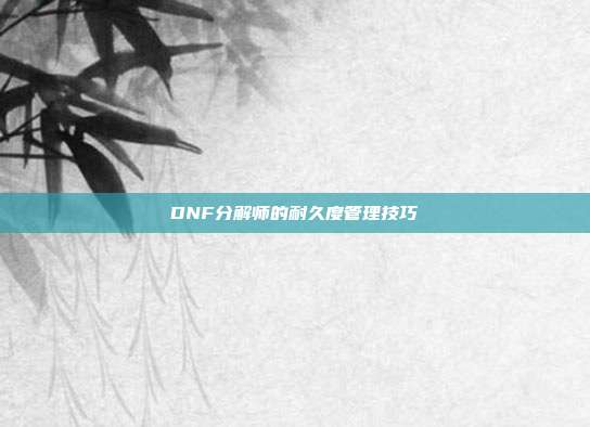 DNF分解师的耐久度管理技巧