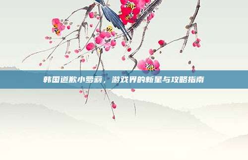 韩国道歉小萝莉，游戏界的新星与攻略指南