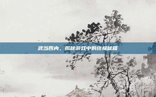 武当四内，揭秘游戏中的终极秘籍
