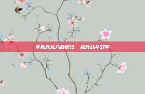 掌握天龙八卦属性,提升战斗效率