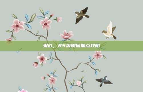 鬼泣，85级刷图加点攻略