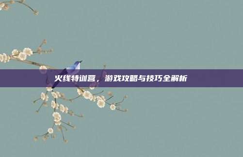 火线特训营，游戏攻略与技巧全解析