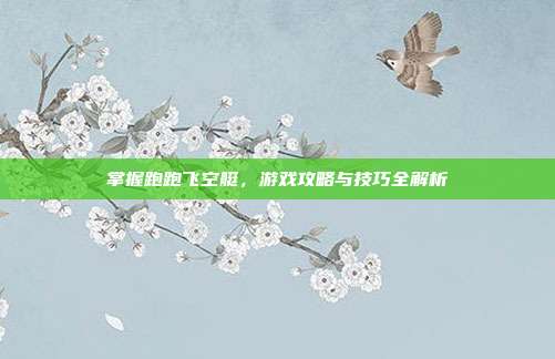 掌握跑跑飞空艇,游戏攻略与技巧全解析