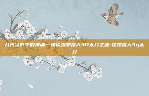 刀光剑影中的狩魂—浅谈怪物猎人3G太刀之道-怪物猎人3g太刀
