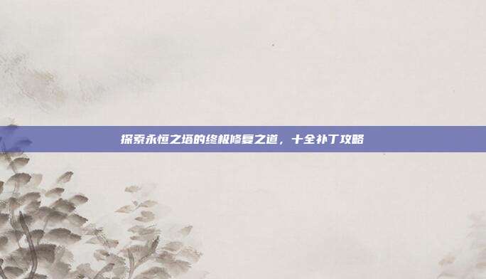 探索永恒之塔的终极修复之道,十全补丁攻略