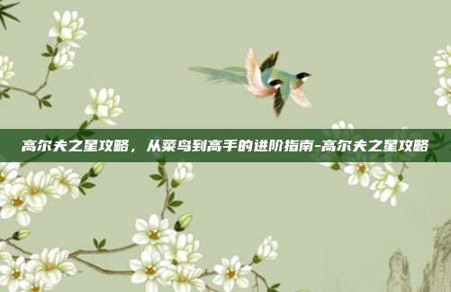 高尔夫之星攻略,从菜鸟到高手的进阶指南-高尔夫之星攻略