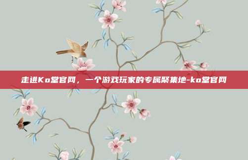 走进Ko堂官网，一个游戏玩家的专属聚集地-ko堂官网