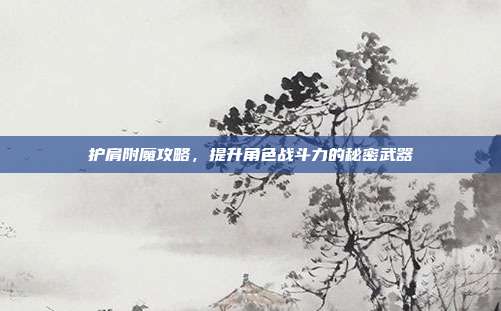 护肩附魔攻略，提升角色战斗力的秘密武器