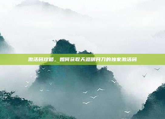 激活码攻略,如何获取天涯明月刀的独家激活码