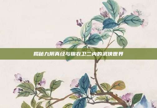 揭秘九阴真经与锦衣卫二内的武侠世界