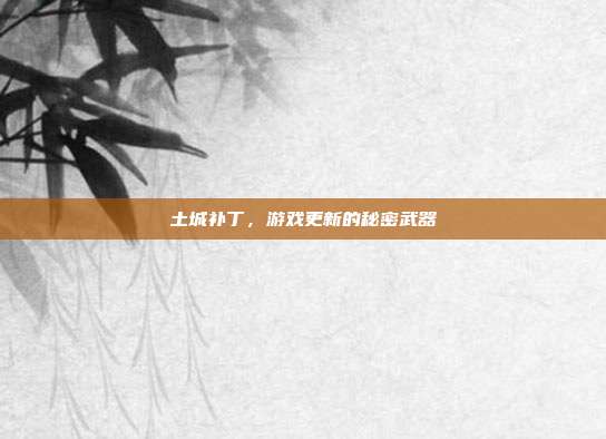 土城补丁,游戏更新的秘密武器