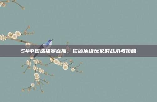 S4中国选拔赛直播，揭秘顶级玩家的战术与策略