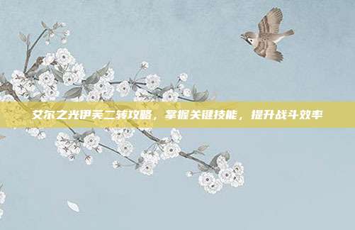 艾尔之光伊芙二转攻略,掌握关键技能,提升战斗效率