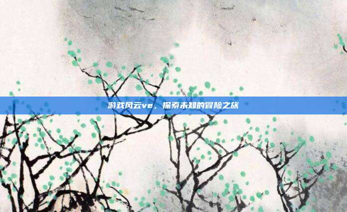 游戏风云ve,探索未知的冒险之旅
