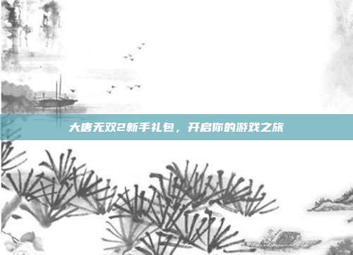 大唐无双2新手礼包，开启你的游戏之旅