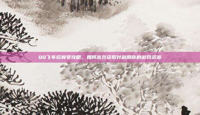 QQ飞车招募号攻略,如何高效获取并利用你的游戏资源