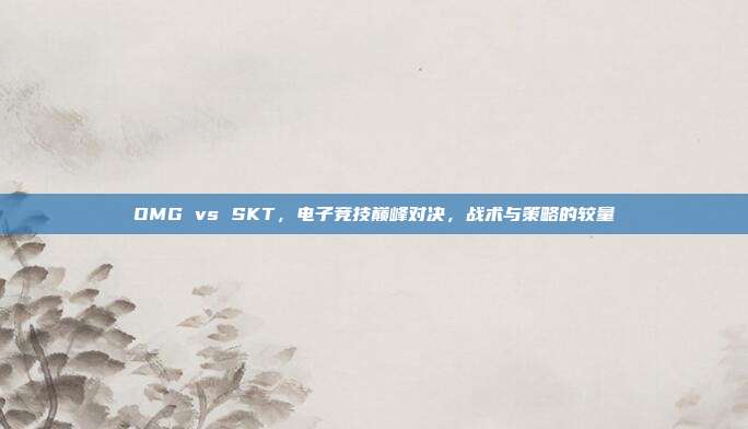 OMG vs SKT,电子竞技巅峰对决,战术与策略的较量