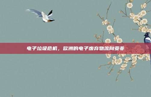 电子垃圾危机,欧洲的电子废弃物流向亚非