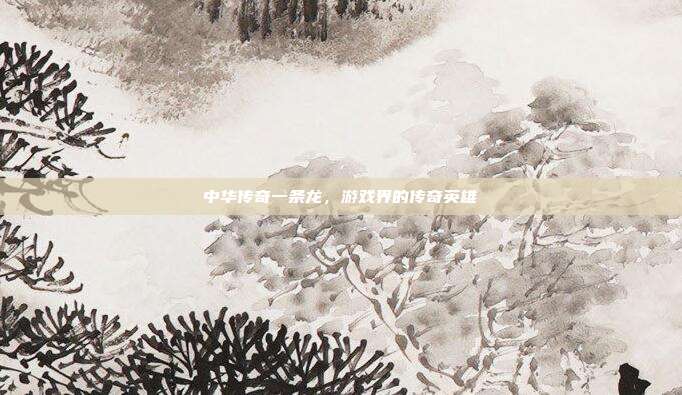 中华传奇一条龙，游戏界的传奇英雄