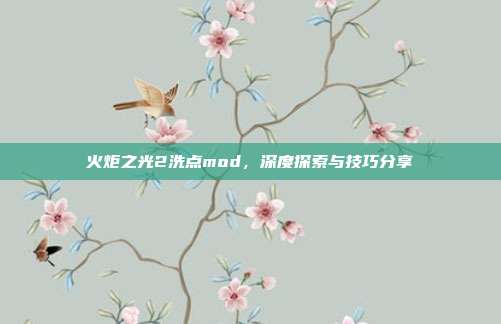 火炬之光2洗点mod，深度探索与技巧分享