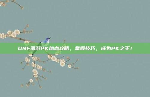 DNF漫游PK加点攻略,掌握技巧,成为PK之王!