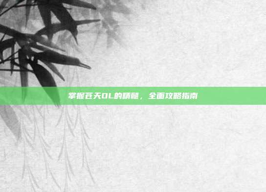 掌握苍天OL的精髓,全面攻略指南