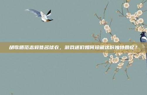 胡歌晒范志毅签名球衣,游戏迷们如何珍藏这份独特回忆?