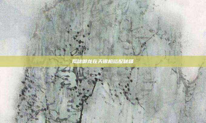 揭秘御龙在天银枪搭配秘籍