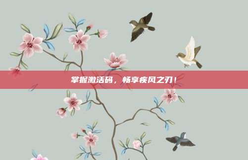 掌握激活码,畅享疾风之刃!