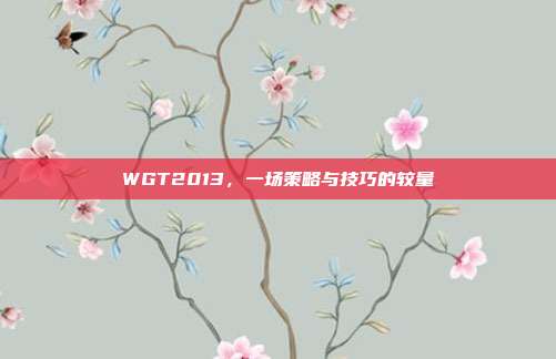 WGT2013,一场策略与技巧的较量