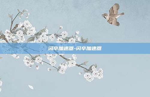 闪卒加速器-闪卒加速器