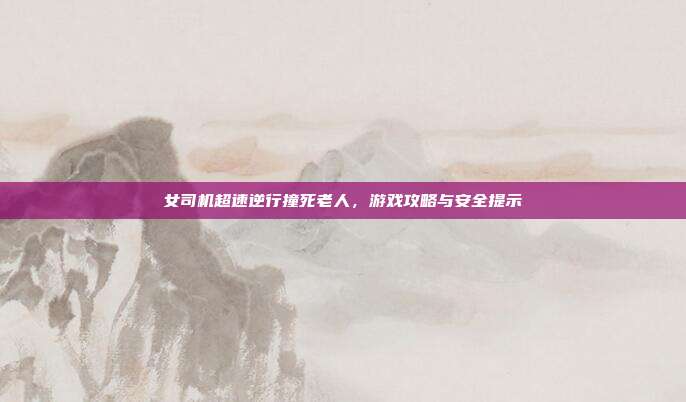 女司机超速逆行撞死老人,游戏攻略与安全提示