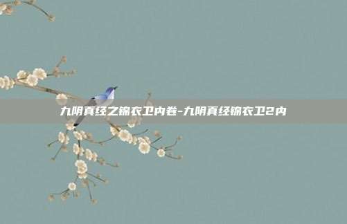 九阴真经之锦衣卫内卷-九阴真经锦衣卫2内