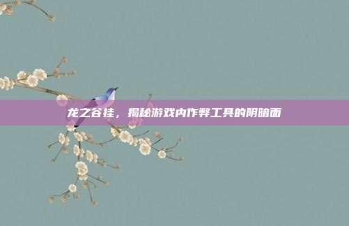 龙之谷挂,揭秘游戏内作弊工具的阴暗面