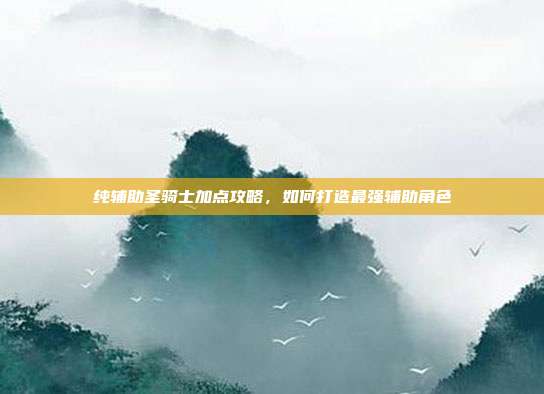 纯辅助圣骑士加点攻略,如何打造最强辅助角色