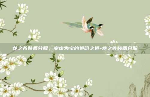 龙之谷装备分解,变废为宝的进阶之道-龙之谷装备分解