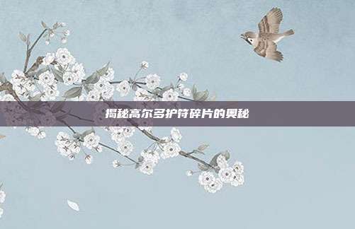 揭秘高尔多护符碎片的奥秘