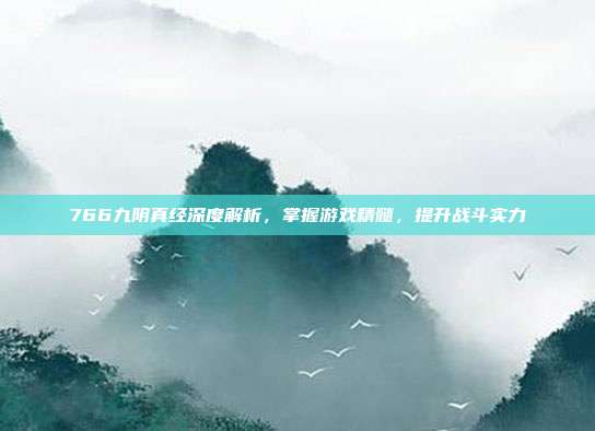766九阴真经深度解析,掌握游戏精髓,提升战斗实力