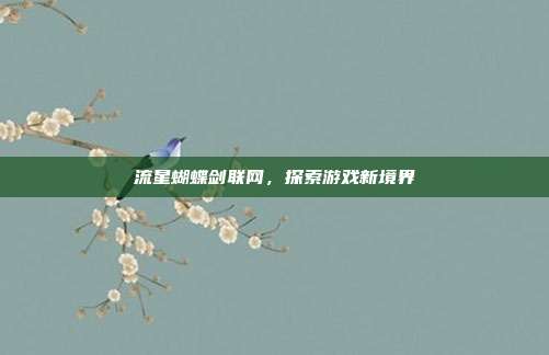 流星蝴蝶剑联网,探索游戏新境界