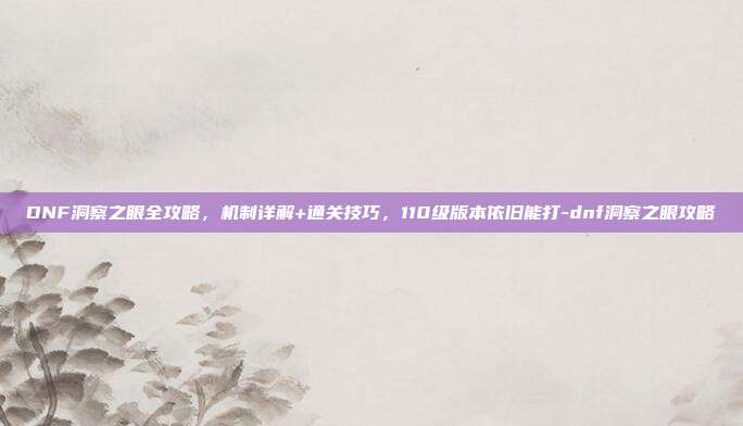 DNF洞察之眼全攻略,机制详解+通关技巧,110级版本依旧能打-dnf洞察之眼攻略