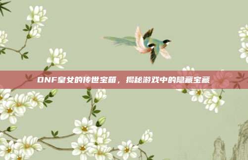 DNF皇女的传世宝箱,揭秘游戏中的隐藏宝藏