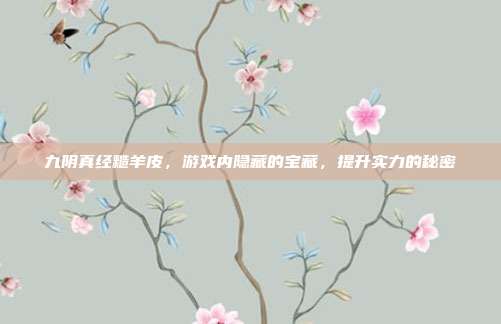 九阴真经糙羊皮，游戏内隐藏的宝藏，提升实力的秘密