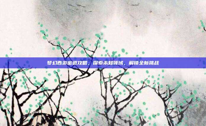 梦幻西游密道攻略,探索未知领域,解锁全新挑战