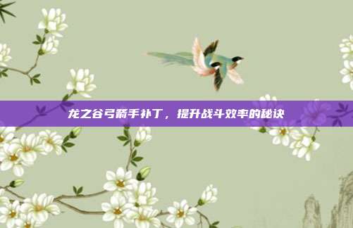 龙之谷弓箭手补丁，提升战斗效率的秘诀